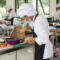 food safety violations